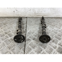 Coppia Alberi A Camme Triumph Baby Speed Dal 2002 al 2003  1747062465918