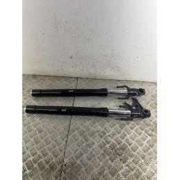 Coppia Steli Forcella Aprilia RS 457 Dal 2024 Al 2025  1747054126384