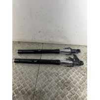 Coppia Steli Forcella Aprilia RS 457 Dal 2024 Al 2025  1747054126384