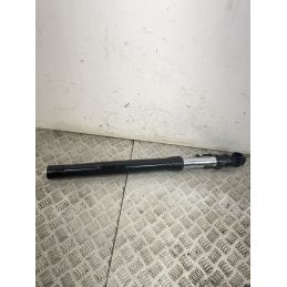 Coppia Steli Forcella Aprilia RS 457 Dal 2024 Al 2025  1747054126384