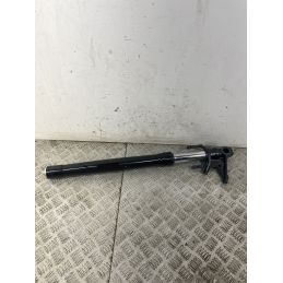 Coppia Steli Forcella Aprilia RS 457 Dal 2024 Al 2025  1747054126384