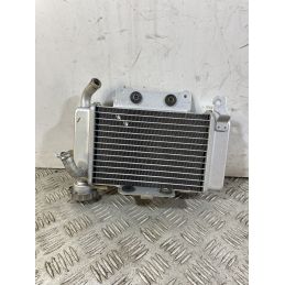 Radiatore Benelli Caffènero 125 dal 2011 al 2016  1747206079025