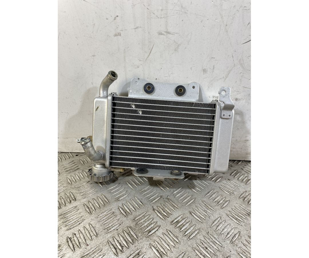 Radiatore Benelli Caffènero 125 dal 2011 al 2016  1747206079025