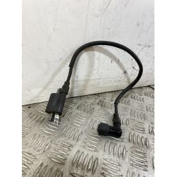 Bobina Accensione Benelli Caffènero 125 dal 2011 al 2016 COD QJ125T-30-2235  1747207933456