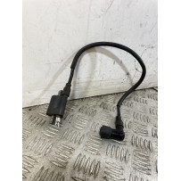 Bobina Accensione Benelli Caffènero 125 dal 2011 al 2016 COD QJ125T-30-2235  1747207933456