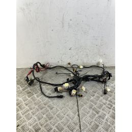 Cablaggio Impianto Elettrico Benelli Caffènero 125 dal 2011 al 2016  1747214519698