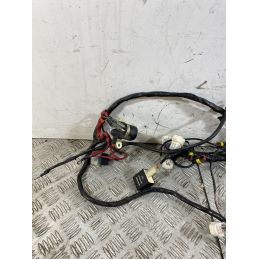 Cablaggio Impianto Elettrico Benelli Caffènero 125 dal 2011 al 2016  1747214519698