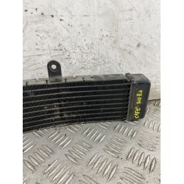 Radiatore Olio Benelli Caffènero 125 dal 2011 al 2016  1747647309569