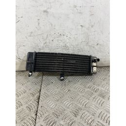 Radiatore Olio Benelli Caffènero 125 dal 2011 al 2016  1747647309569