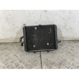 Radiatore Derbi Rambla 150 Dal 2008 al 2014  1747665143909