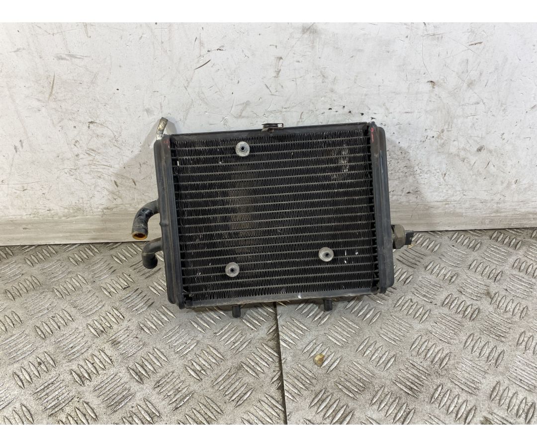 Radiatore Derbi Rambla 150 Dal 2008 al 2014  1747665143909