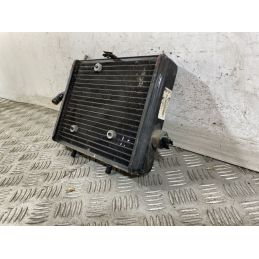 Radiatore Derbi Rambla 150 Dal 2008 al 2014  1747665143909