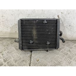 Radiatore Derbi Rambla 150 Dal 2008 al 2014  1747665143909