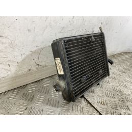 Radiatore Derbi Rambla 150 Dal 2008 al 2014  1747665143909