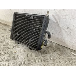 Radiatore Derbi Rambla 150 Dal 2008 al 2014  1747665143909