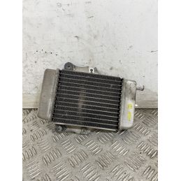 Radiatore Honda Chiocciola @ 150 dal 2000 al 2006  1747667776730