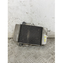 Radiatore Honda Chiocciola @ 150 dal 2000 al 2006  1747667776730