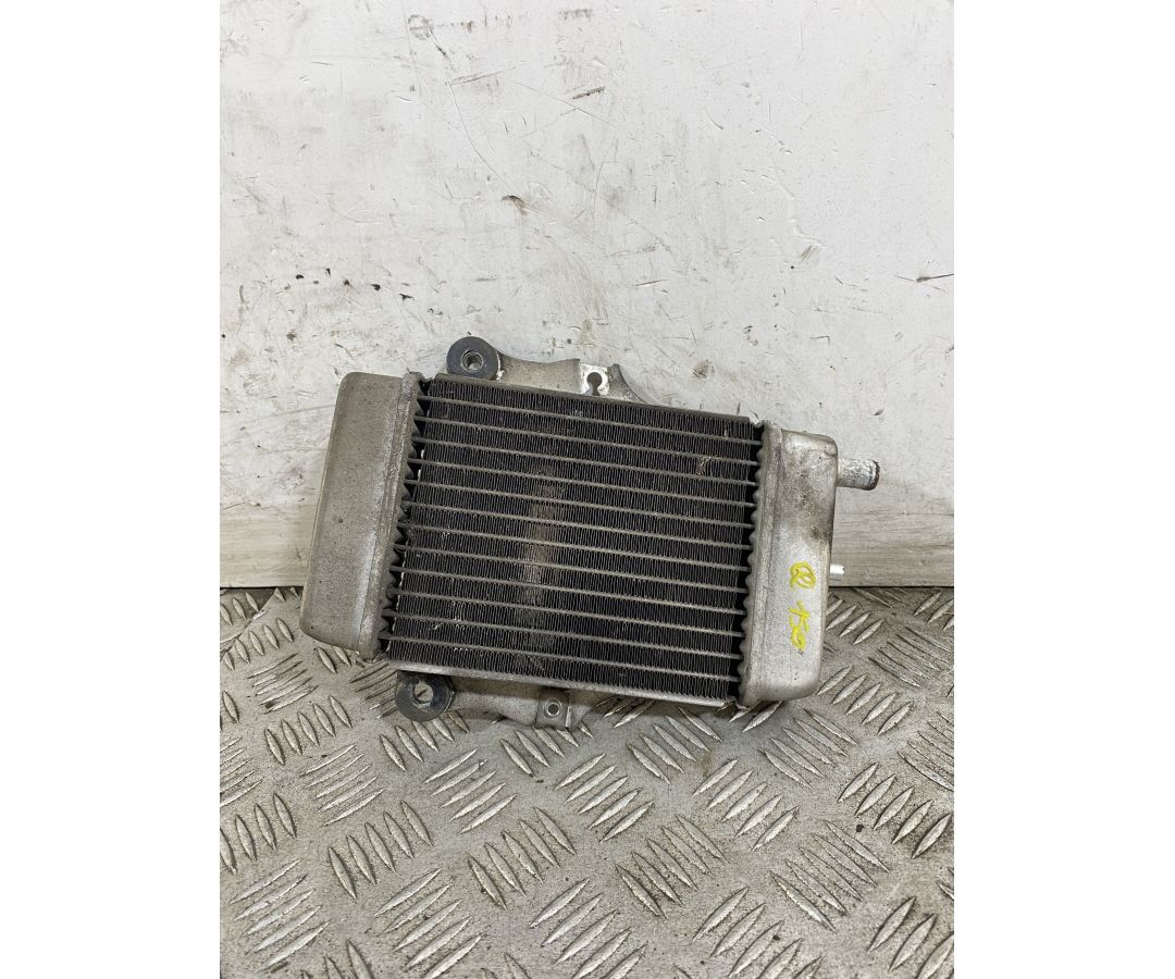 Radiatore Honda Chiocciola @ 150 dal 2000 al 2006  1747667776730