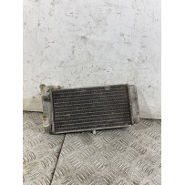 Radiatore Yamaha X-Max XMax 250 Dal 2010 al 2013  1747735155566