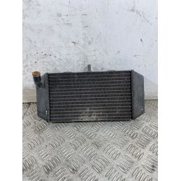 Radiatore Yamaha Majesty 400 dal 2004 al 2008  1747736209404