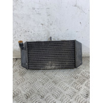 Radiatore Yamaha Majesty 400 dal 2004 al 2008  1747736209404