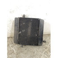 Radiatore Honda Foresight 250 dal 1998 al 2004  1747926443687