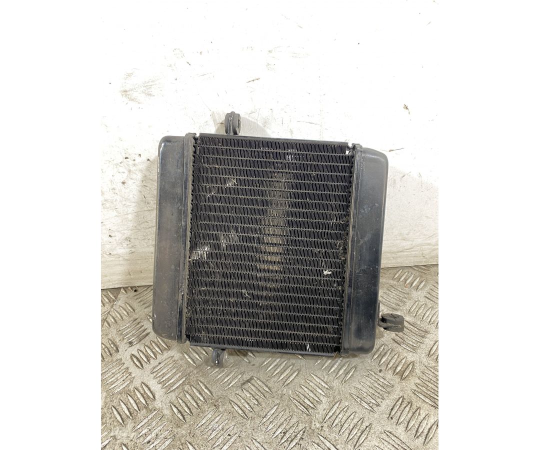 Radiatore Honda Foresight 250 dal 1998 al 2004  1747926443687