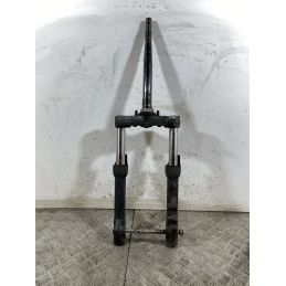 Forcella Silence S01 Dal 2021 Al 2025  1748009527942