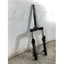 Forcella Silence S01 Dal 2021 Al 2025  1748009527942