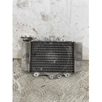Radiatore Honda PS 150ie dal 2006 al 2012  1748008410733