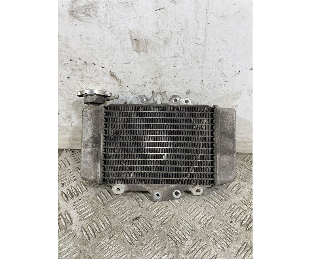 Radiatore Honda PS 150ie dal 2006 al 2012  1748008410733