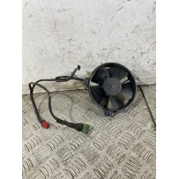 Elettroventola Honda Foresight 250 dal 1998 al 2004  1748010436332