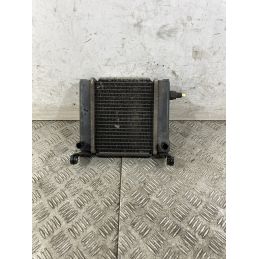 Radiatore Kymco Downtown 300 dal 2008 al 2017  1748254204186