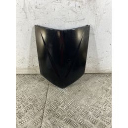 Carena Scudetto Anteriore Honda Foresight 250 dal 1998 al 2004  1748254883060