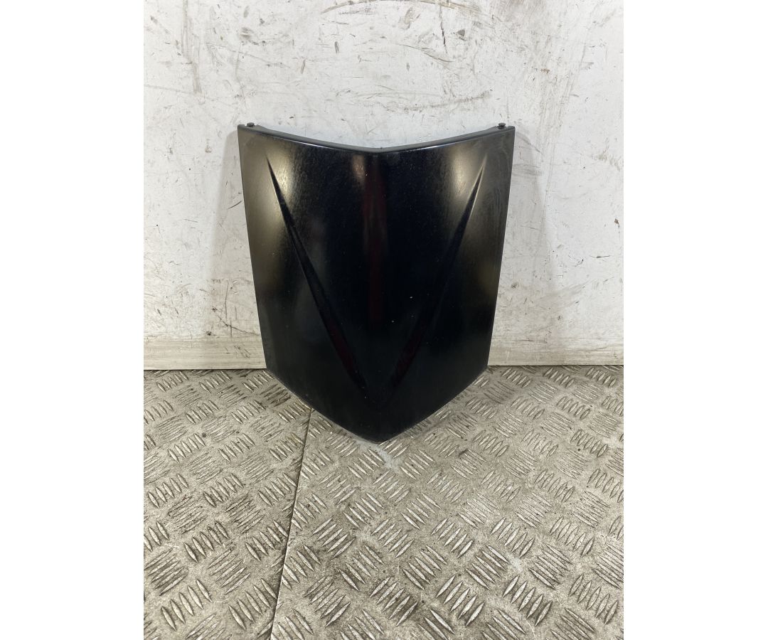 Carena Scudetto Anteriore Honda Foresight 250 dal 1998 al 2004  1748254883060