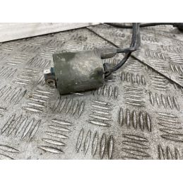 Bobina Accensione Honda Silver Wing 400 Dal 2001 al 2009  1748265674596