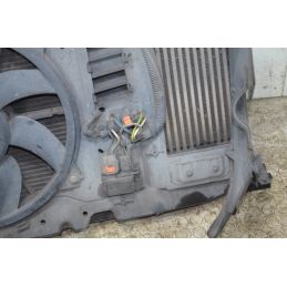 Pacco Radiatori Citroen C4 Picasso  Dal 2006 al 2013 Cod 40026470  1748347582221