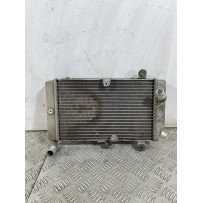 Radiatore Honda Silver Wing 400 Dal 2001 al 2009  1748442135636