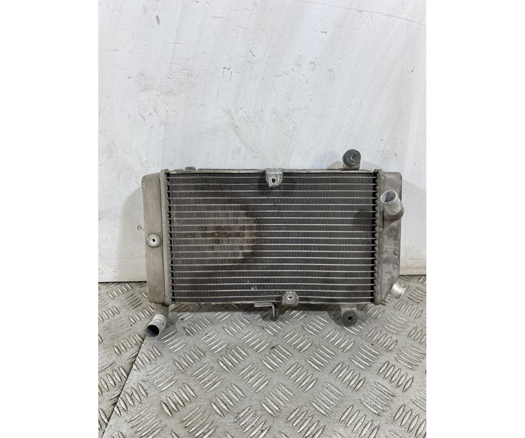 Radiatore Honda Silver Wing 400 Dal 2001 al 2009  1748442135636