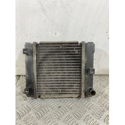 Radiatore Kymco G-Dink 300 dal 2011 al 2017  1748443006133