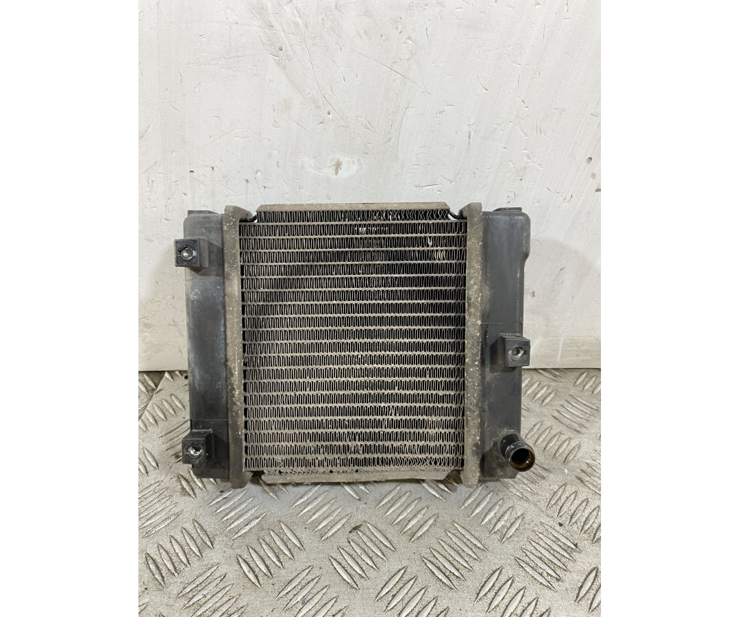 Radiatore Kymco G-Dink 300 dal 2011 al 2017  1748443006133