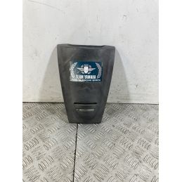 Carena Scudetto Anteriore Honda Sky 50 dal 1998 al 2004  1748614826775