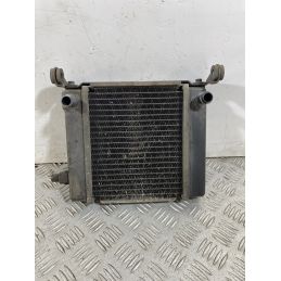 Radiatore Kymco Downtown 300 dal 2008 al 2017  1748941723471