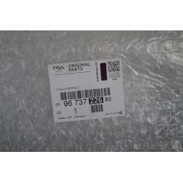 Modanatura terminale di scarico DX Citroen DS 5 Dal 2011 al 2015 Cod 9673722680  1748960919428