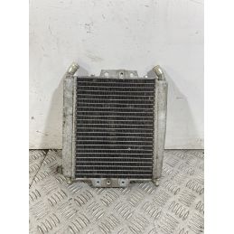 Radiatore Piaggio X8 250 Dal 2004 al 2006  1749022351613