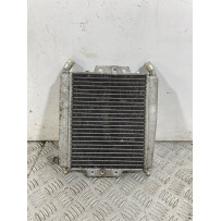 Radiatore Piaggio X8 250 Dal 2004 al 2006  1749022351613