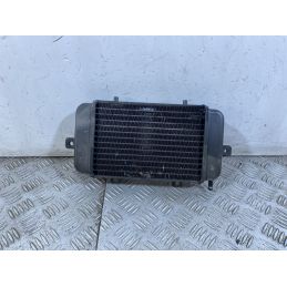 Radiatore BMW C1 200 dal 2001 al 2002  1749205179355