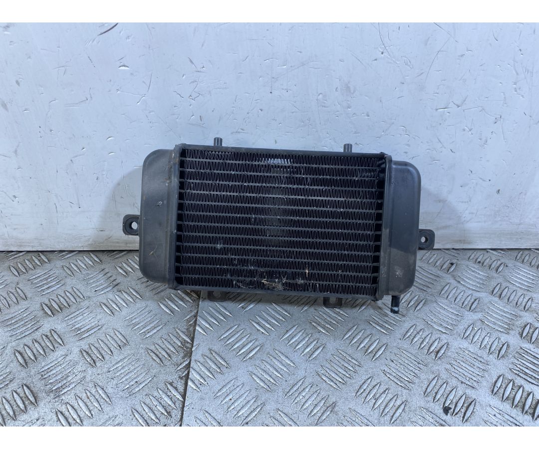 Radiatore BMW C1 200 dal 2001 al 2002  1749205179355