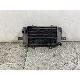 Radiatore BMW C1 200 dal 2001 al 2002  1749205179355