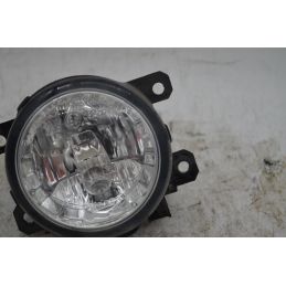 Faro Fendinebbia Anteriore DX Ford Ecosport Dal 2014 al 2018 Cod E385-15B243-AA  1749218069025